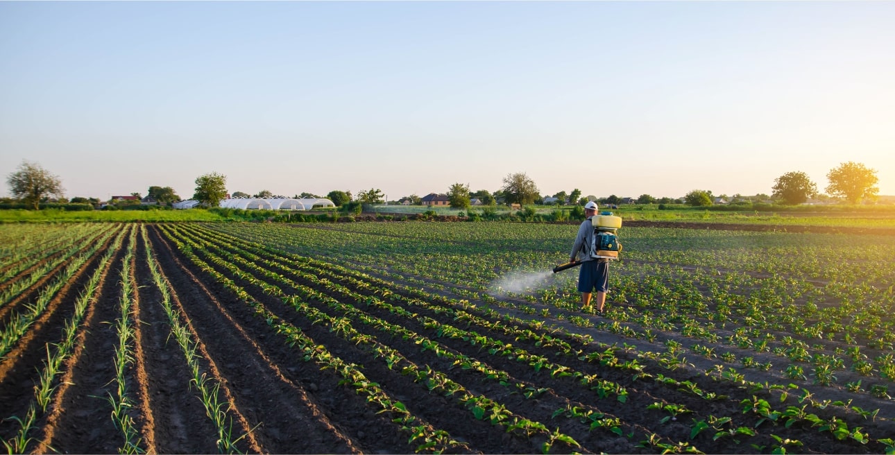 fungicide-img