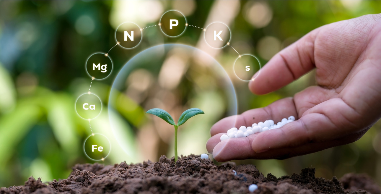 plant-img